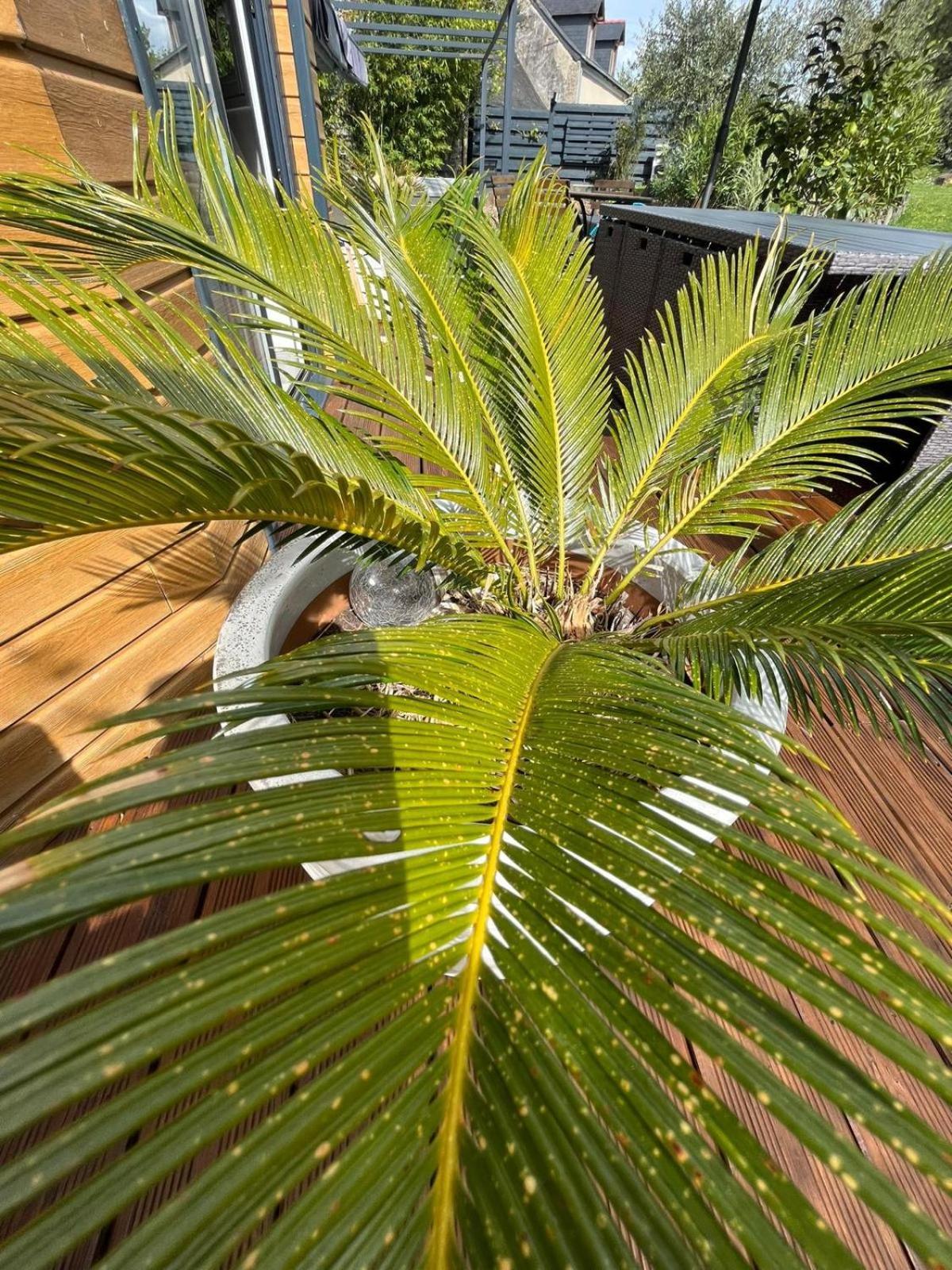 Angrie Chambre Champetre المظهر الخارجي الصورة